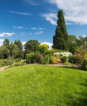 Ein Garten, der leicht zu pflegen ist