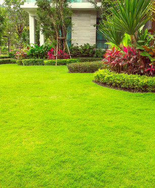 Kleiner Garten vor dem Haus