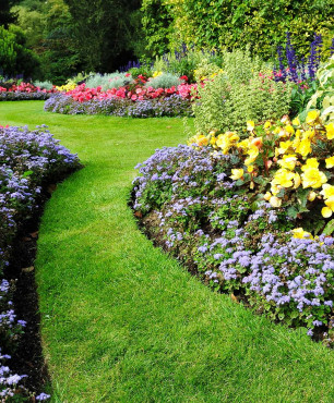 Holländischer Garten