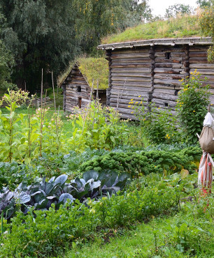 Rustikaler Gemüsegarten