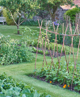 Gemüsegarten mit separaten Beeten